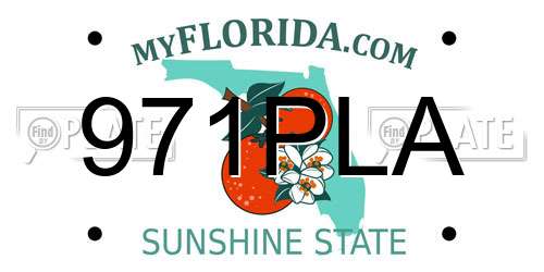 971PLA Florida License Plate