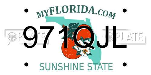 971QJL Florida License Plate