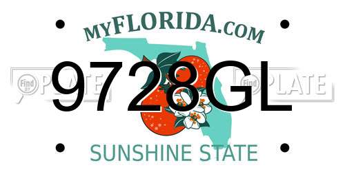 9728GL Florida License Plate