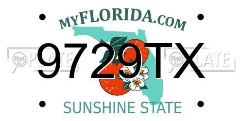 9729TX Florida License Plate