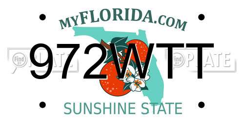 972WTT Florida License Plate