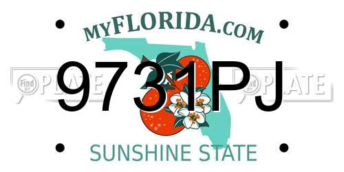 9731PJ Florida License Plate