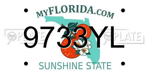 9733YL Florida License Plate