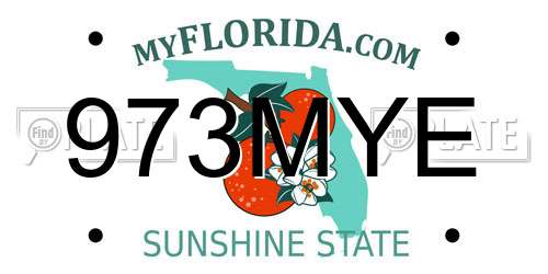 973MYE Florida License Plate