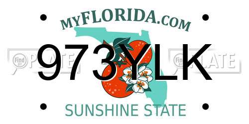 973YLK Florida License Plate