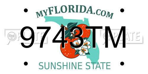 9743TM Florida License Plate