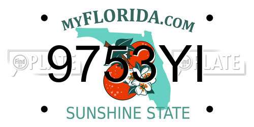 9753YI Florida License Plate