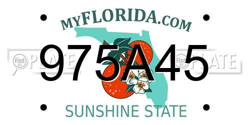 975A45 Florida License Plate