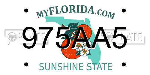 975AA5 Florida License Plate
