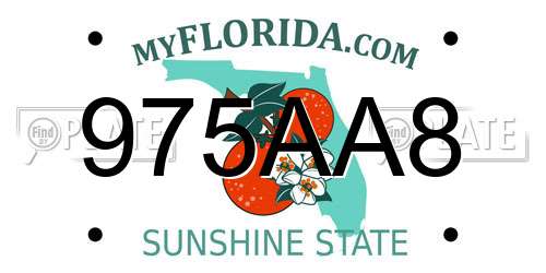 975AA8 Florida License Plate