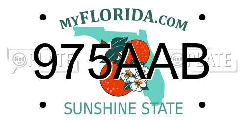 975AAB Florida License Plate