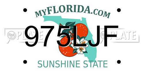 975LJF Florida License Plate