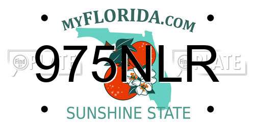 975NLR Florida License Plate