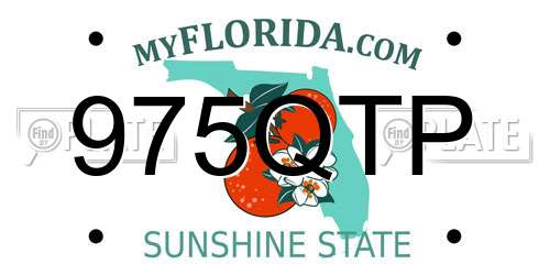 975QTP Florida License Plate