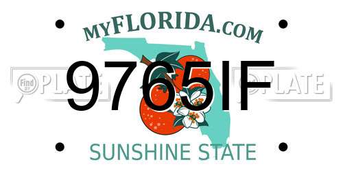 9765IF Florida License Plate