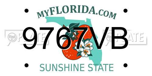 9767VB Florida License Plate