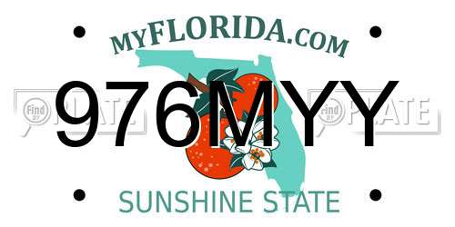 976MYY Florida License Plate