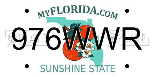 976WWR Florida License Plate