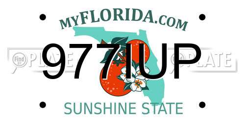977IUP Florida License Plate