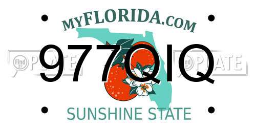977QIQ Florida License Plate