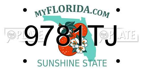 9781TJ Florida License Plate