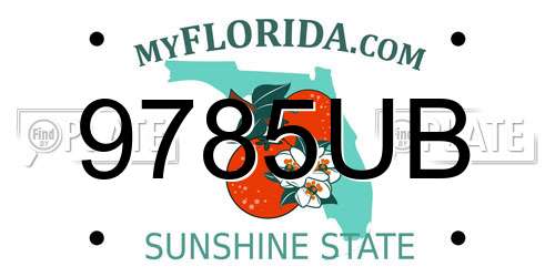 9785UB Florida License Plate
