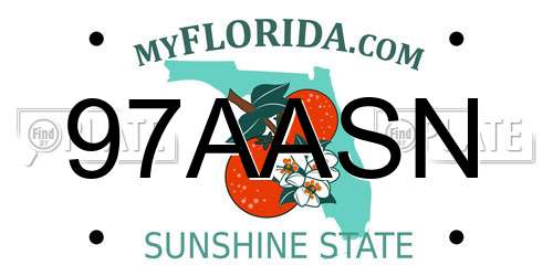97AASN Florida License Plate
