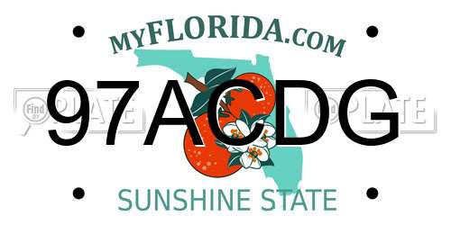 97ACDG Florida License Plate