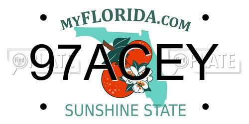 97ACEY Florida License Plate