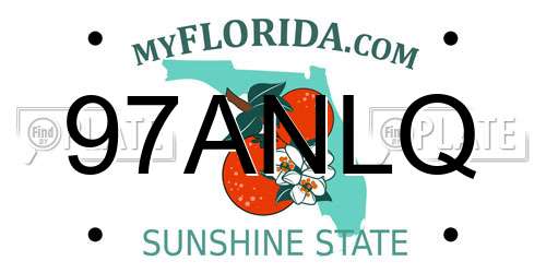 97ANLQ Florida License Plate