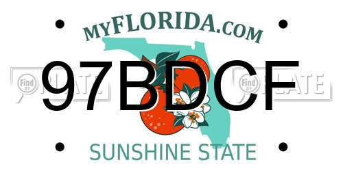 97BDCF Florida License Plate