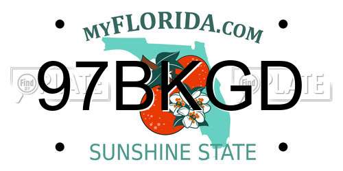 97BKGD Florida License Plate