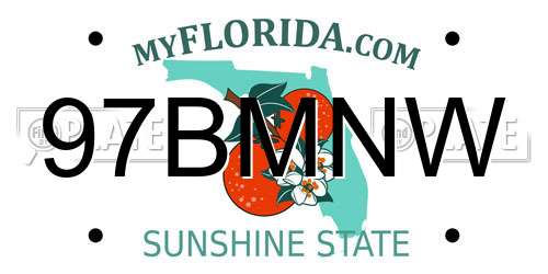 97BMNW Florida License Plate