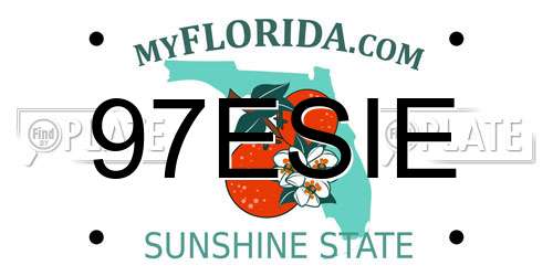 97ESIE Florida License Plate