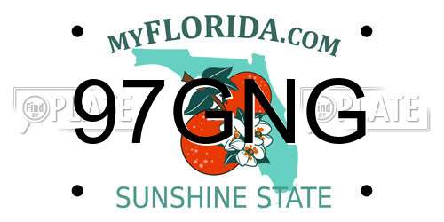 97GNG Florida License Plate