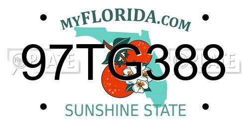 97TG388 Florida License Plate