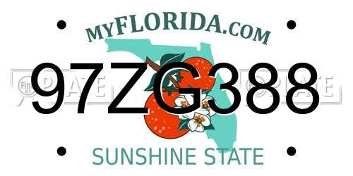 97ZG388 Florida License Plate