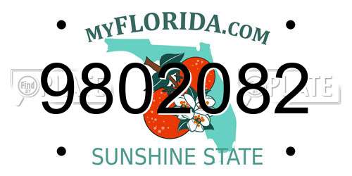 9802082 Florida License Plate