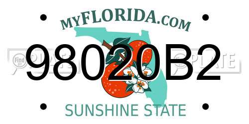 98020B2 Florida License Plate
