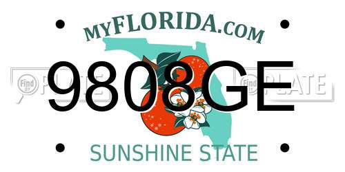 9808GE Florida License Plate