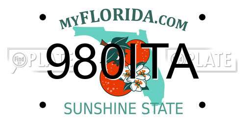 980ITA Florida License Plate