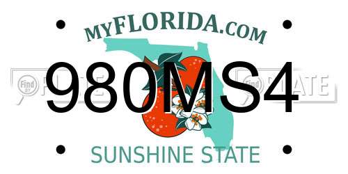980MS4 Florida License Plate