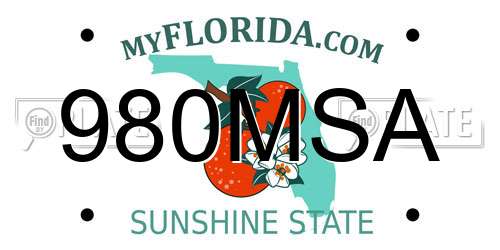 980MSA Florida License Plate