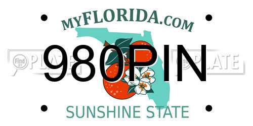 980PIN Florida License Plate