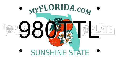 980TTL Florida License Plate