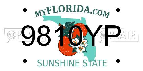 9810YP Florida License Plate