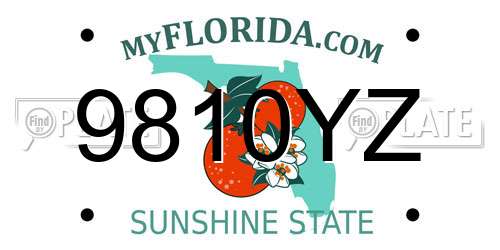 9810YZ Florida License Plate