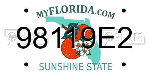 98119E2 Florida License Plate
