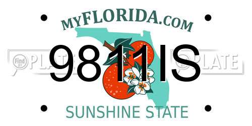 9811IS Florida License Plate