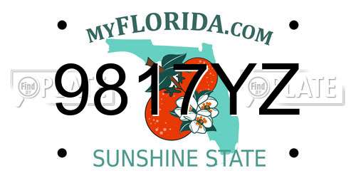9817YZ Florida License Plate